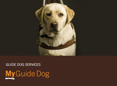 guide dogs australia