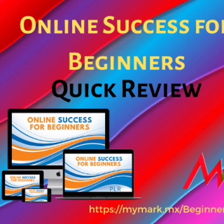 beginner online success