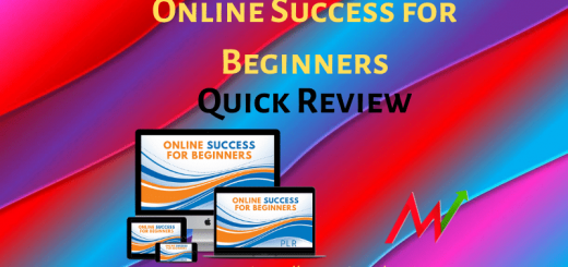 beginner online success