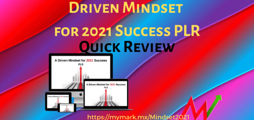 success driven mindset