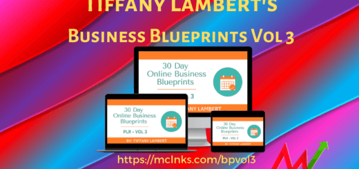 online business blueprints vol 3 plr
