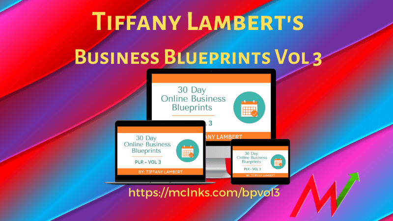 online business blueprints plr